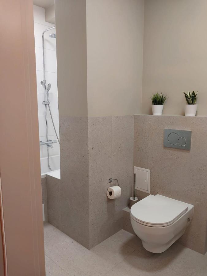 Spacious Two-Bedroom Apartment In The City Center Krakow Exterior photo